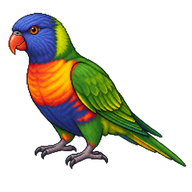 Rainbow Lorikeet
