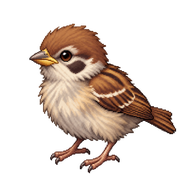 Eurasian Tree Sparrow Chick