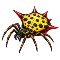 Jewel Spider