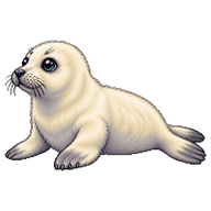 Grey Seal Pup