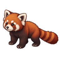 Red Panda Cub