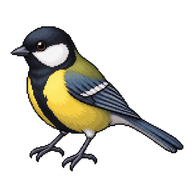 Japanese Tit