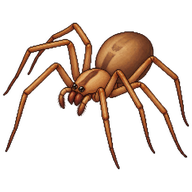 Mediterranean Recluse