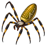 Australian Golden Orb-weaver