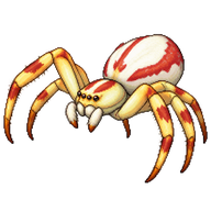Crab Spider