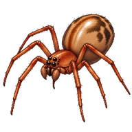 Red House Spider