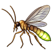 Glowworm