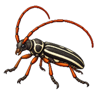 Longhorn Beetle