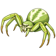 Leek-green Flower Spider
