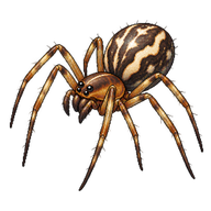 Filmy Dome Spider
