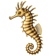 Lined Seahorse