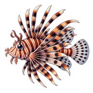 Lionfish Juvenile
