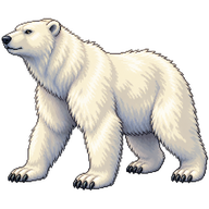 Polar Bear