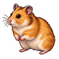 Golden Hamster