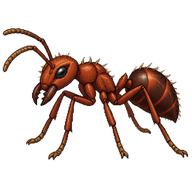 Destructive trailing ant