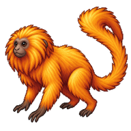 Golden Lion Tamarin