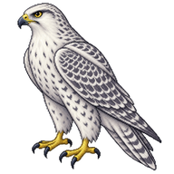 Gyrfalcon