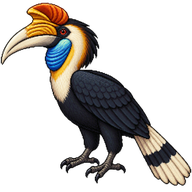 Wreathed Hornbill