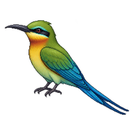 Blue-tailed Bee-eater
