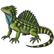 Philippine Sailfin Lizard