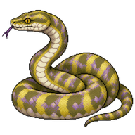 Amethystine Python