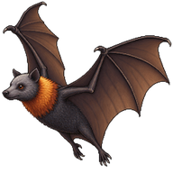 Grey-headed Flying-fox