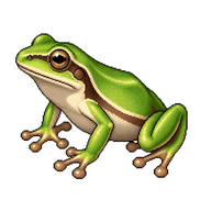 Eastern Dwarf Tree Frog