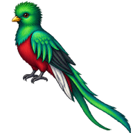 Resplendent Quetzal