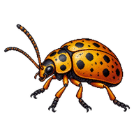 Aspen Leaf Beetle