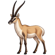 Chiru