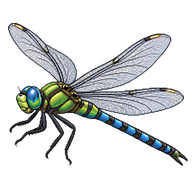 Lesser Emperor