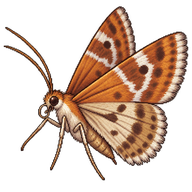 Rusty Dot