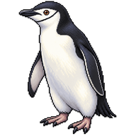 Chinstrap Penguin