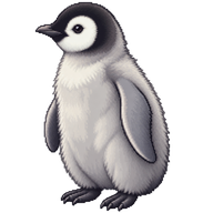 Emperor Penguin Chick