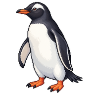 Gentoo Penguin