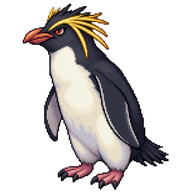 Royal Penguin