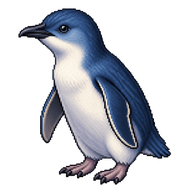 Little Penguin