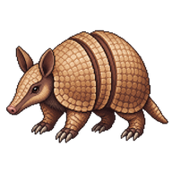Brazilian Three-banded Armadillo