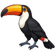 Toco Toucan