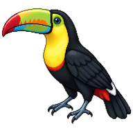 Keel-billed Toucan