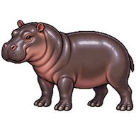 Pygmy Hippopotamus