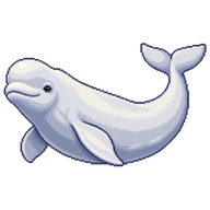Beluga