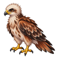 Red Kite Hatchling