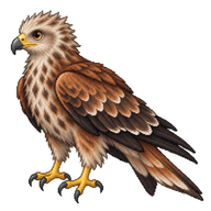 Red Kite Fledgling
