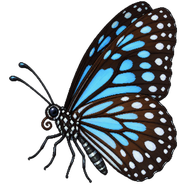 Blue Tiger