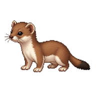 Least Weasel Kit