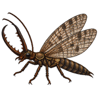 Dobsonfly