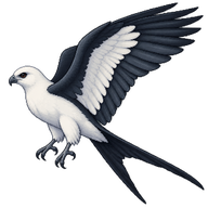 Swallow-tailed Kite