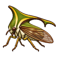 Oak Treehopper