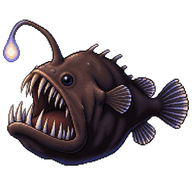 Humpback anglerfish